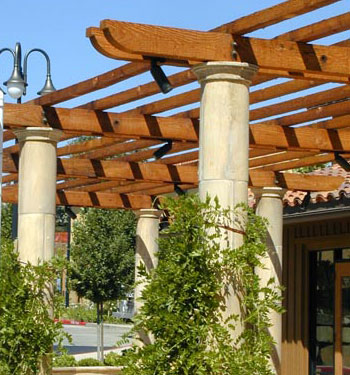 Patio Cover landscape design