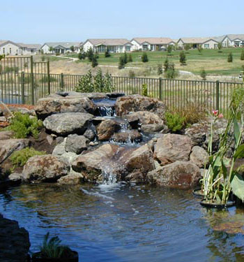 Water Feature Landscape Design