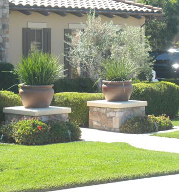 Lawn Aeration El Dorado Hills